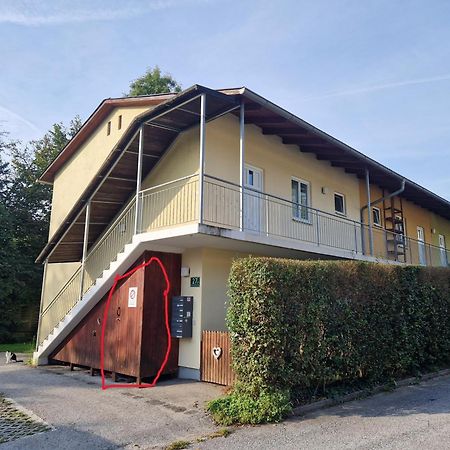 Erholung Pur Nahe Krankenhaus & Uni Mit Parkplatz! Daire Graz Dış mekan fotoğraf